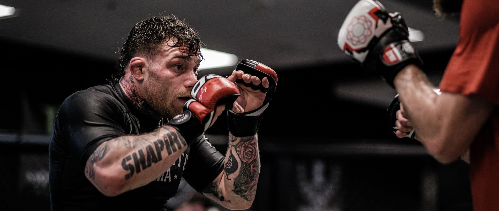Main image of Storm MMA & Fitness