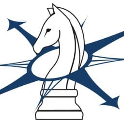Strategy & Motion logo