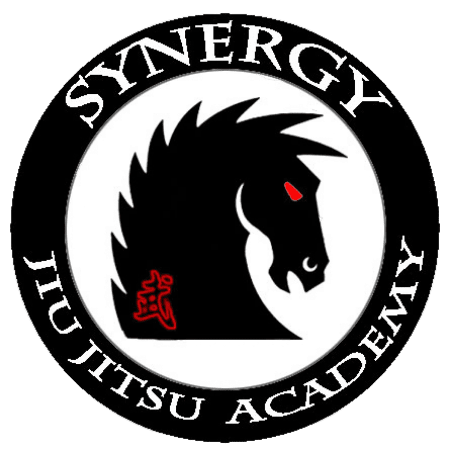 Main image of Synergy Jiu-Jitsu Academy