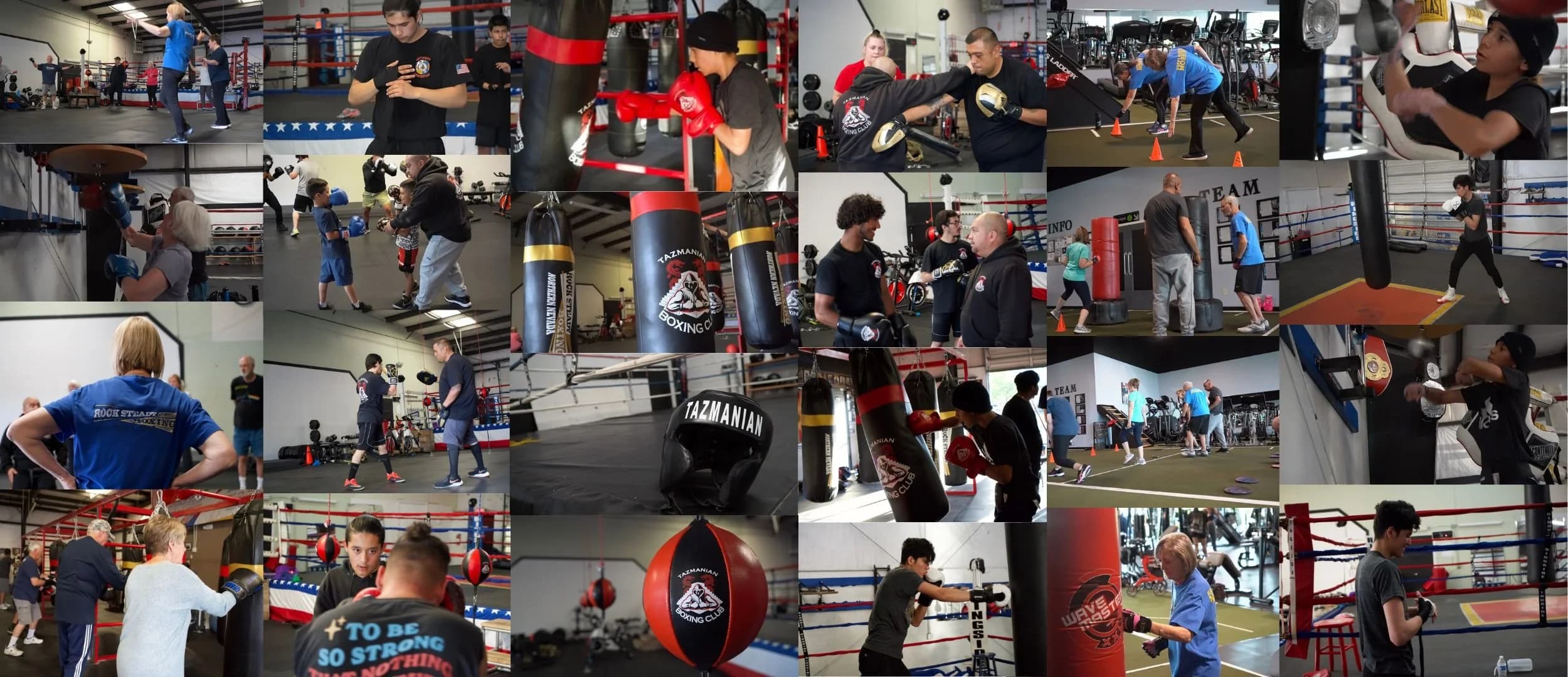 Main image of Tazmanian Boxing Club