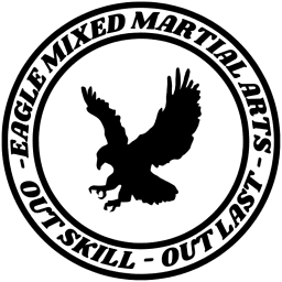 Team Eagle MMA logo
