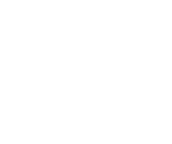 Team Elite Fitness Academy LLC logo