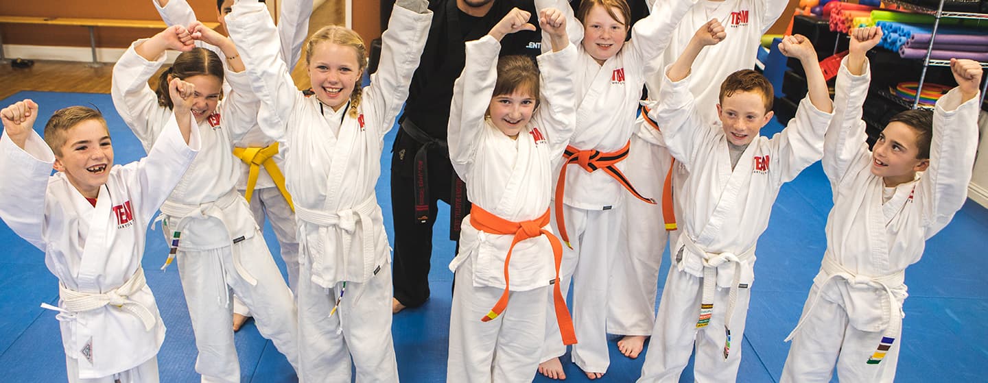 Team Martial Arts Inc. logo