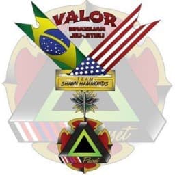 Team Shawn Hammonds/ Valor BJJ logo