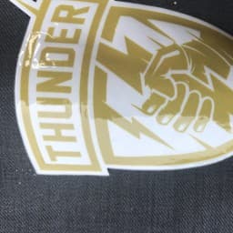 Team Thunder logo