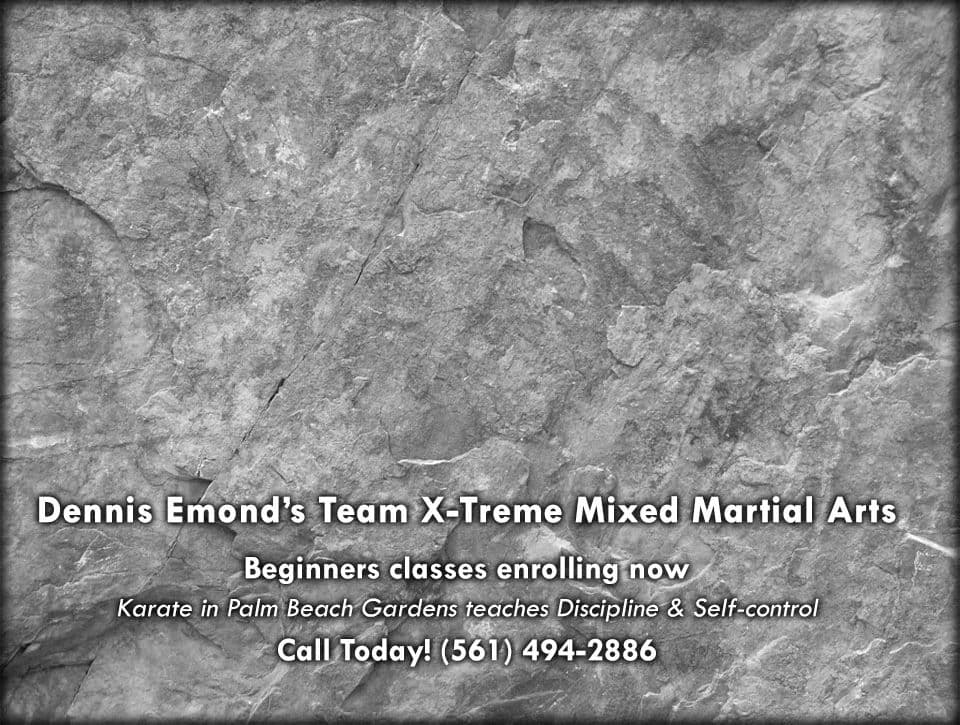 Main image of Team X-Treme Martial Arts Academy