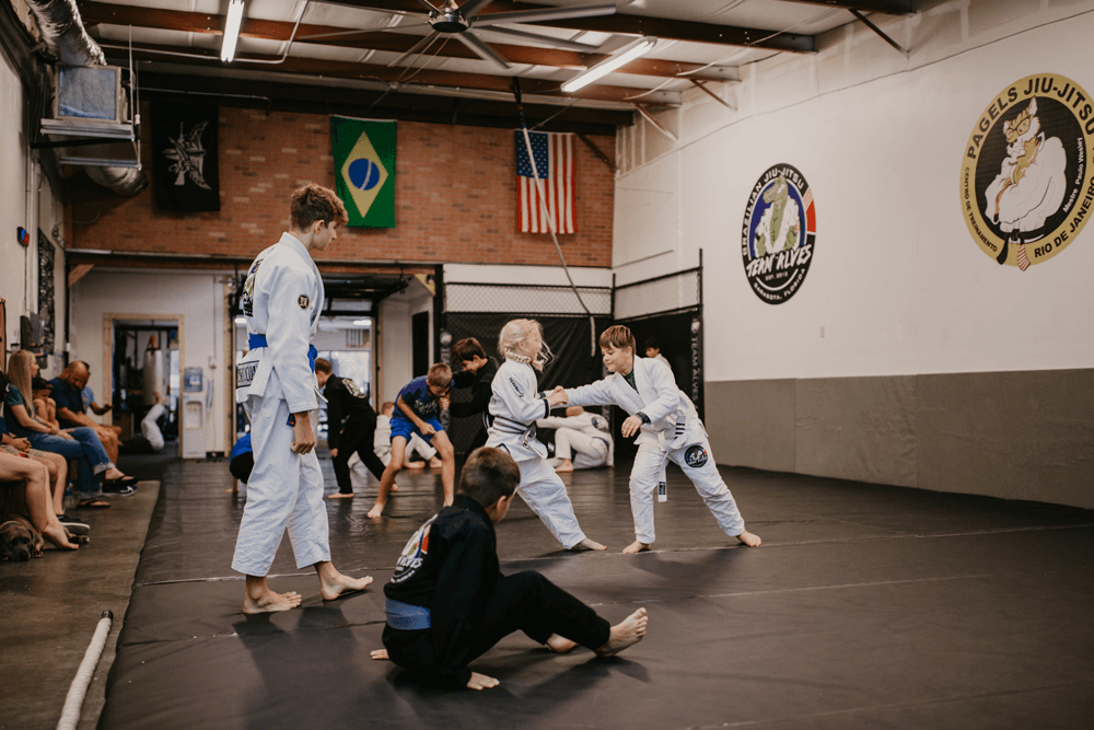 Main image of TeamAlves Brazilian Jiu-Jitsu school