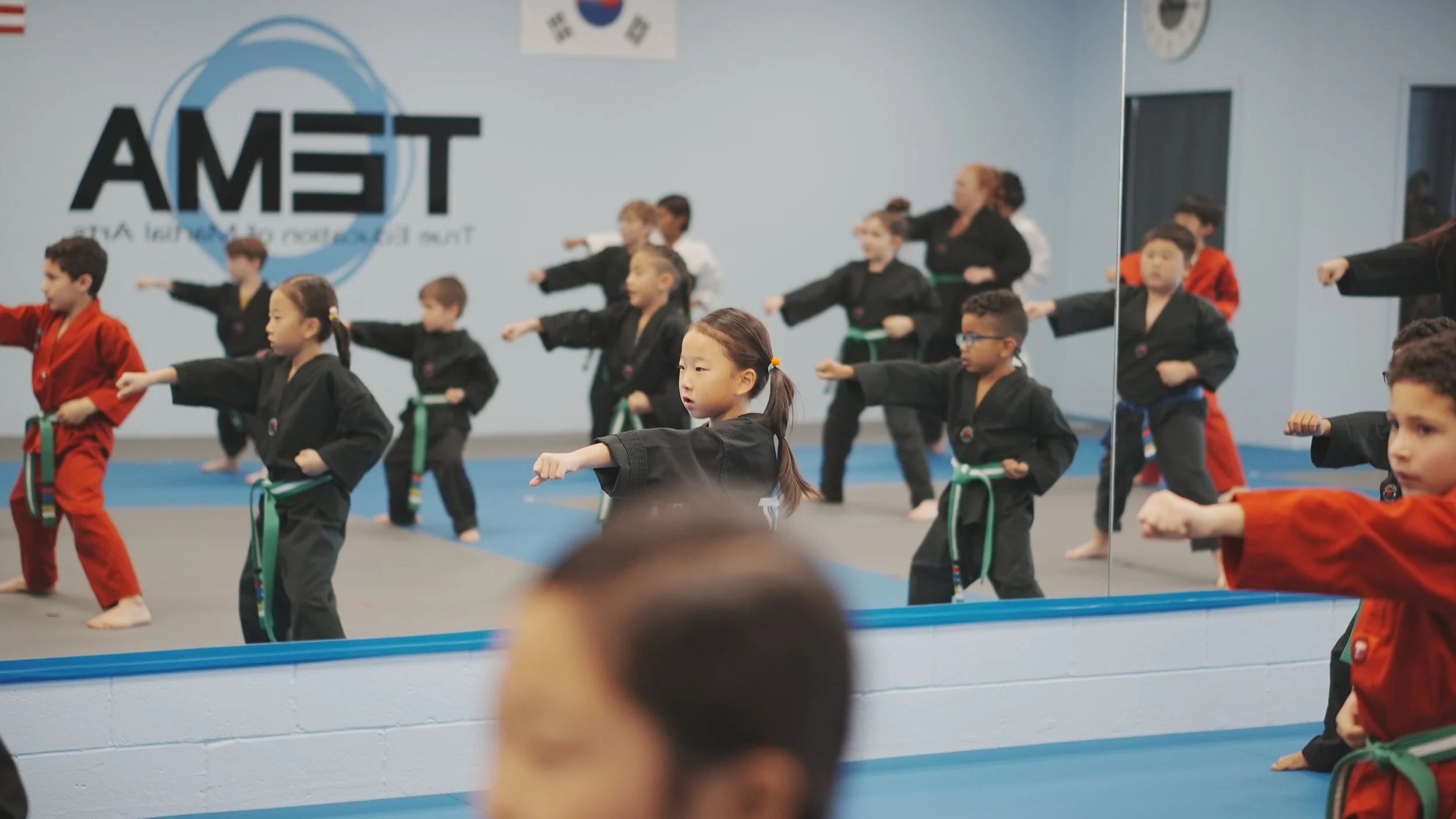 TEMA - True Education of Martial Arts logo