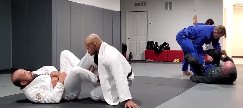 Testudo BJJ Judo logo