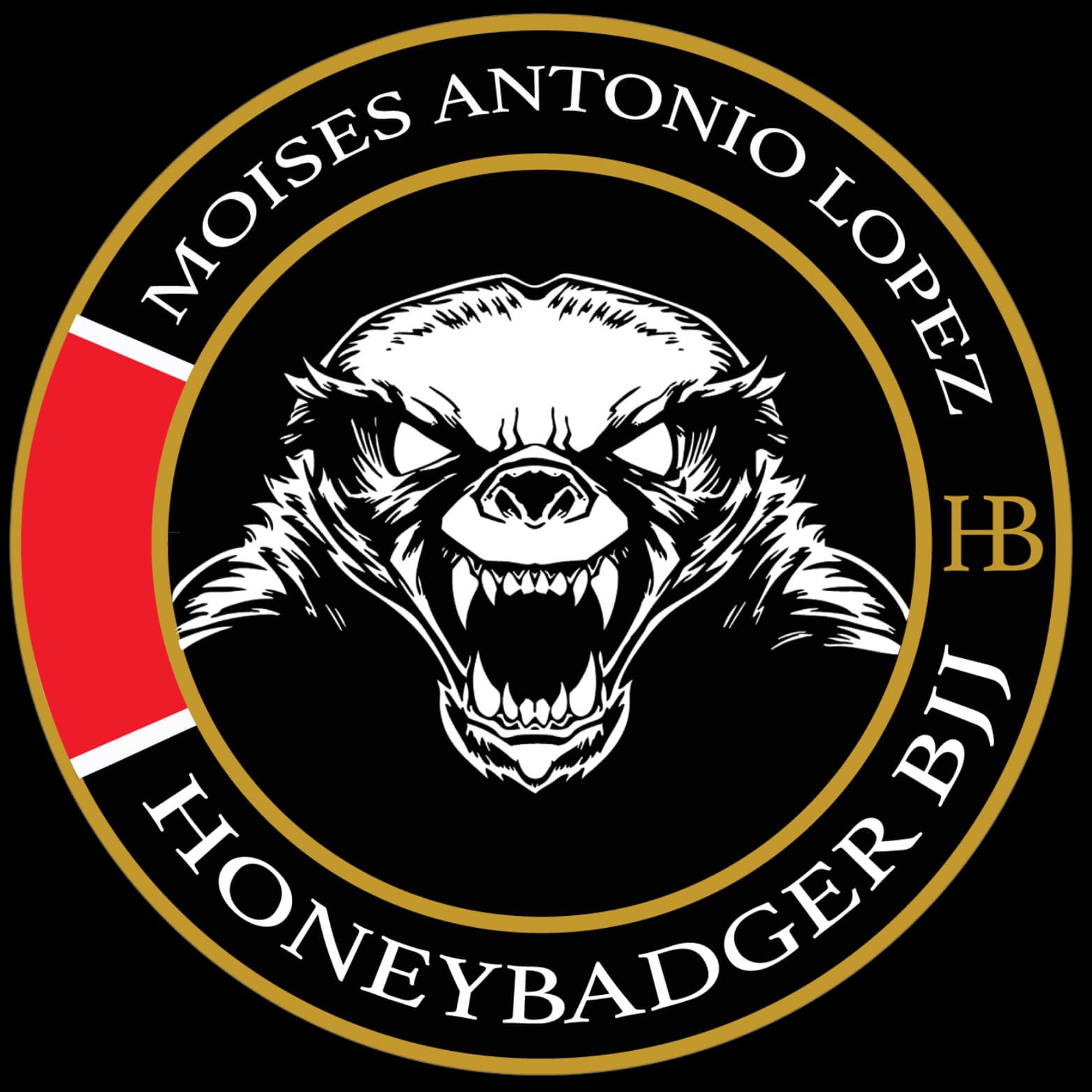 The Academy of Brazilian Jiu Jitsu logo