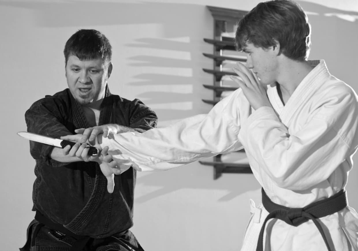 Main image of The Dojo