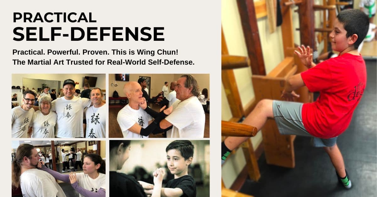 The Dragon Institute - Palm Coast Martial Arts logo