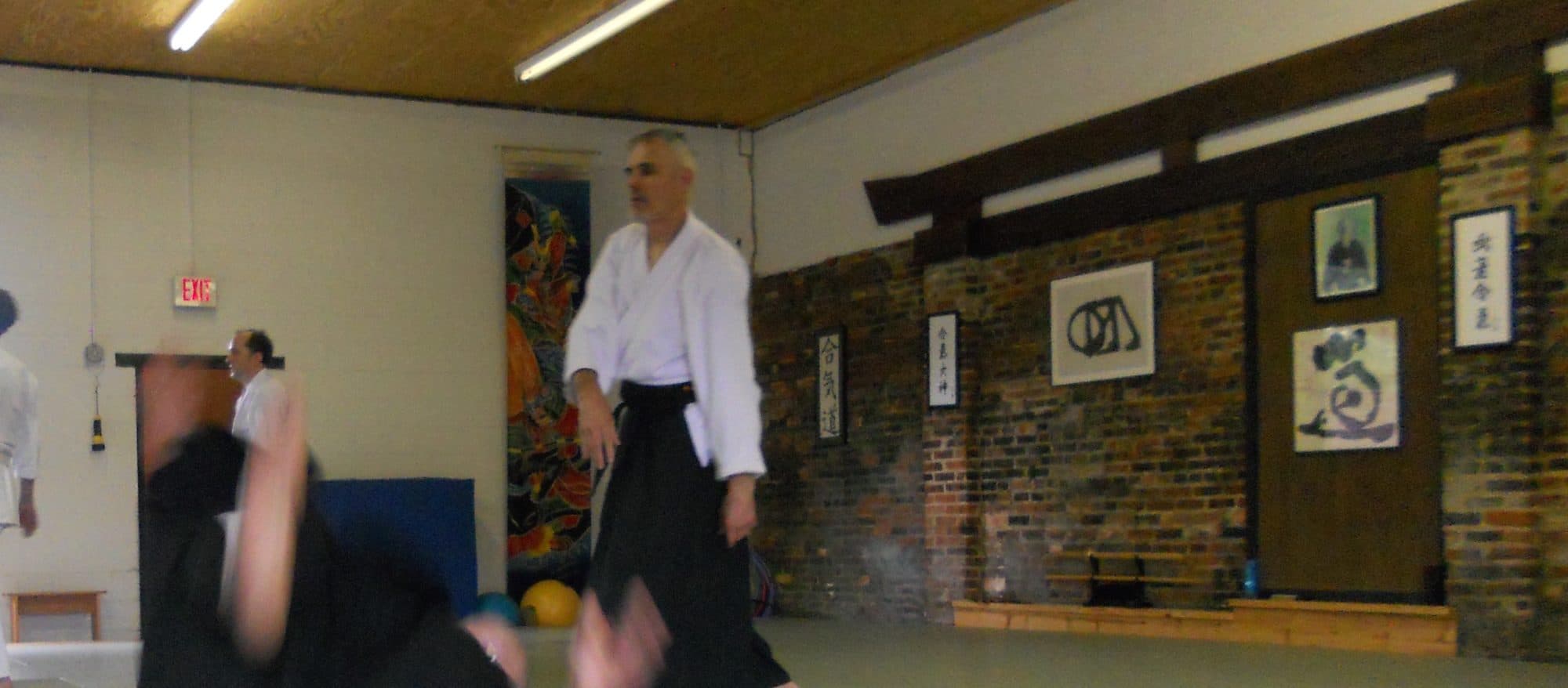 Main image of The Fan Dojo