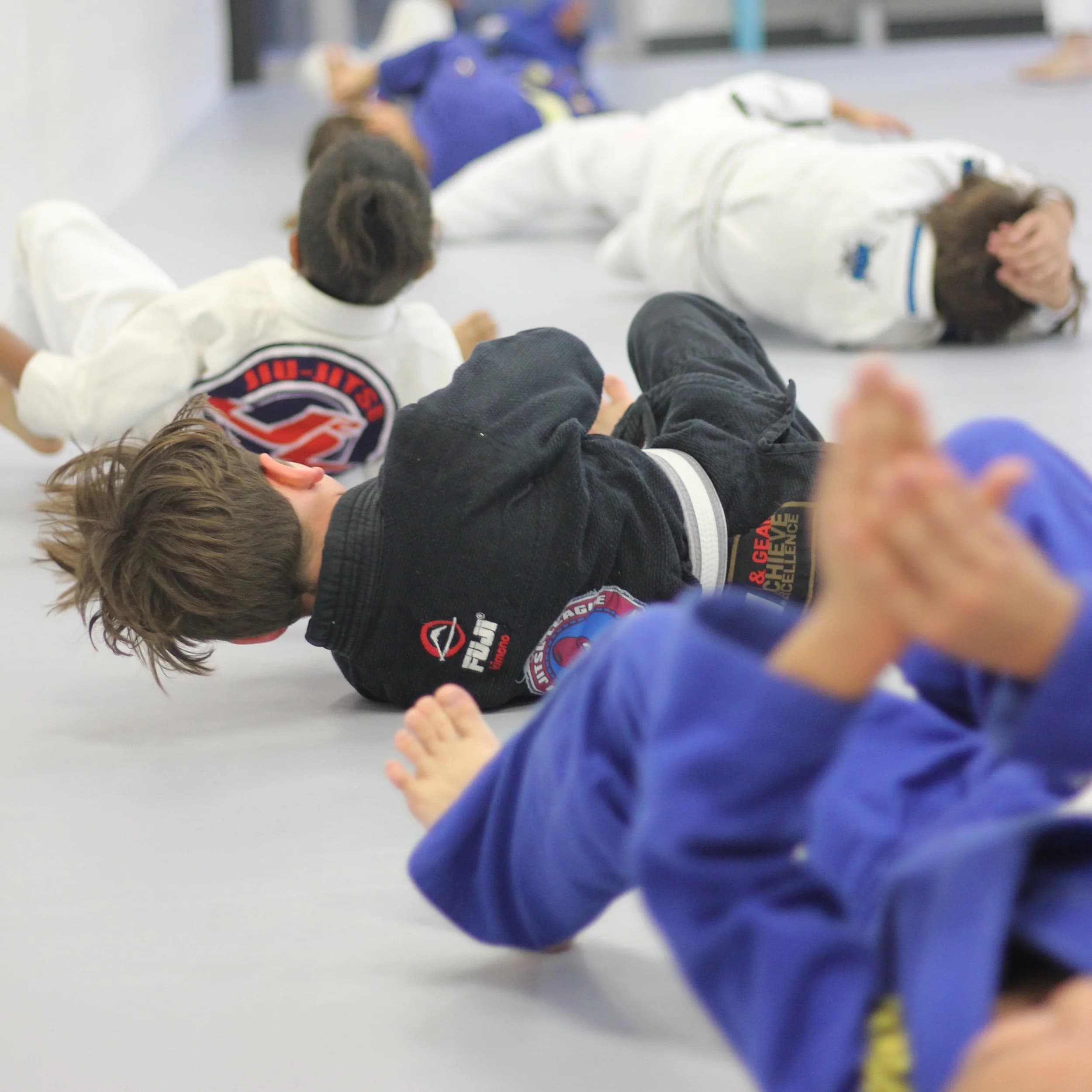 Main image of The Jiu-Jitsu League