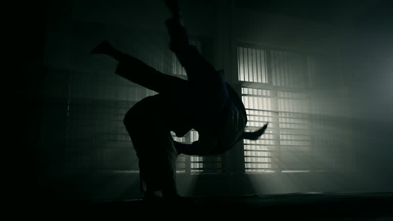 Main image of The Komainu Collective Brazilian Jiu Jitsu