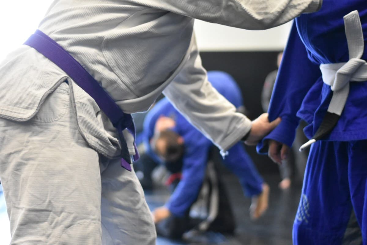 Main image of The Lab BJJ LLC