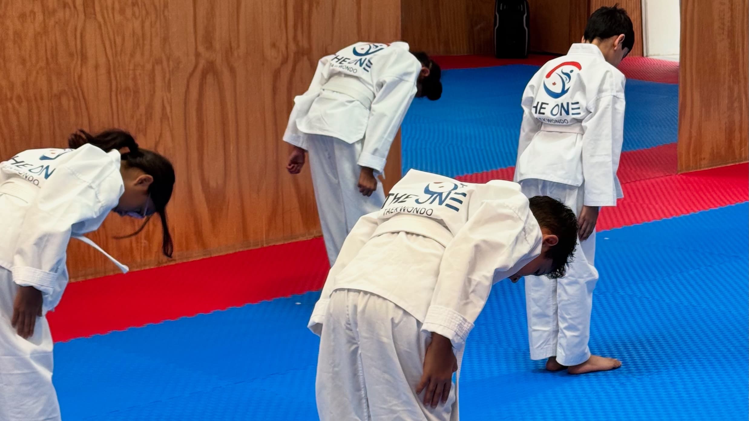 Main image of The One Taekwondo Squamish