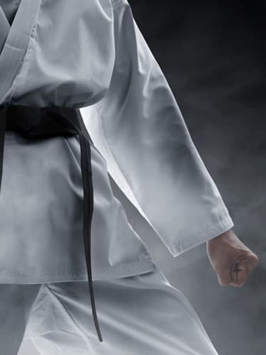 Main image of THE STUDIO Martial Arts and Fitness