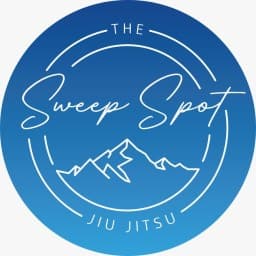 The Sweep Spot logo