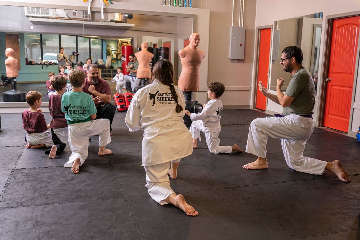 Main image of The University of Sidekicks