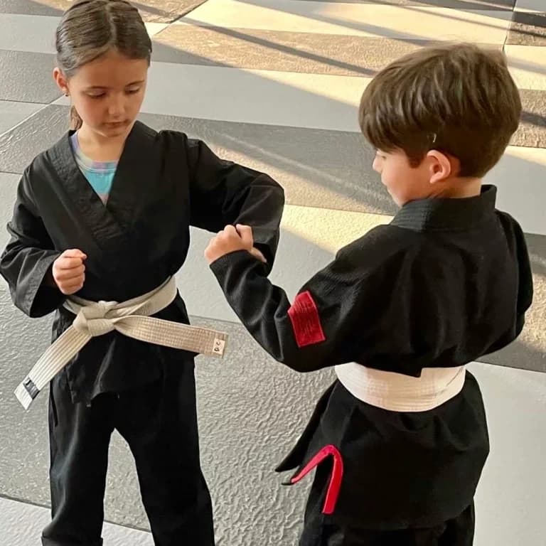 The Void Martial Arts logo