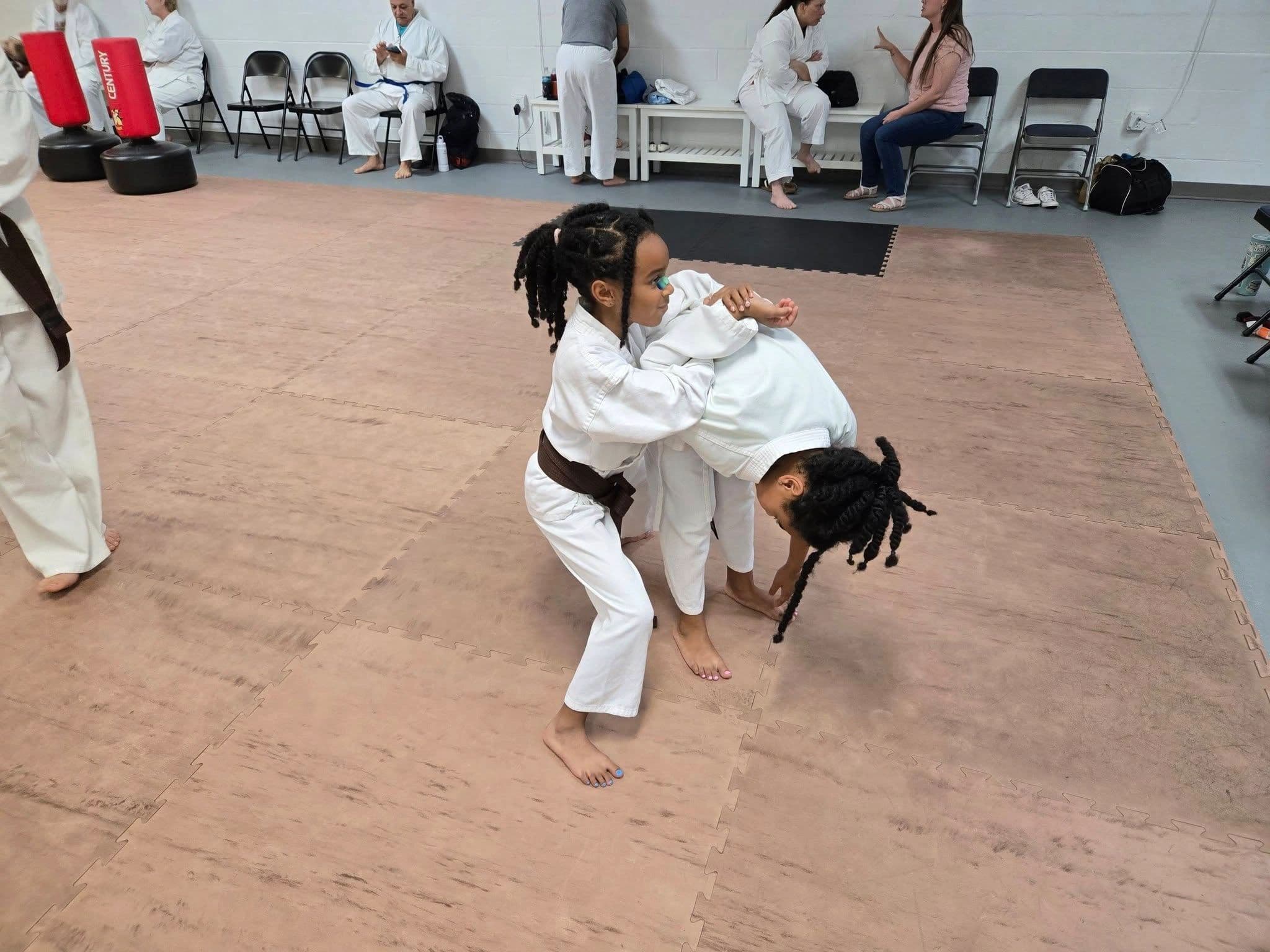 Main image of The Wado Ryu Dojo