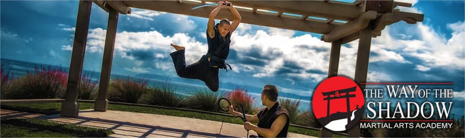 Main image of The Way of the Shadow Martial Arts Academy