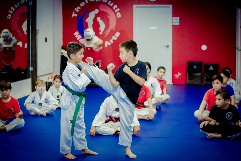Main image of Therapeutic Martial Arts