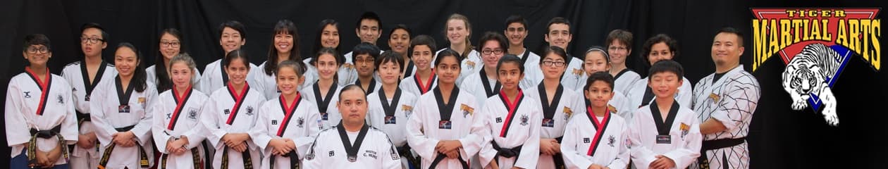 Main image of Tiger Martial Arts
