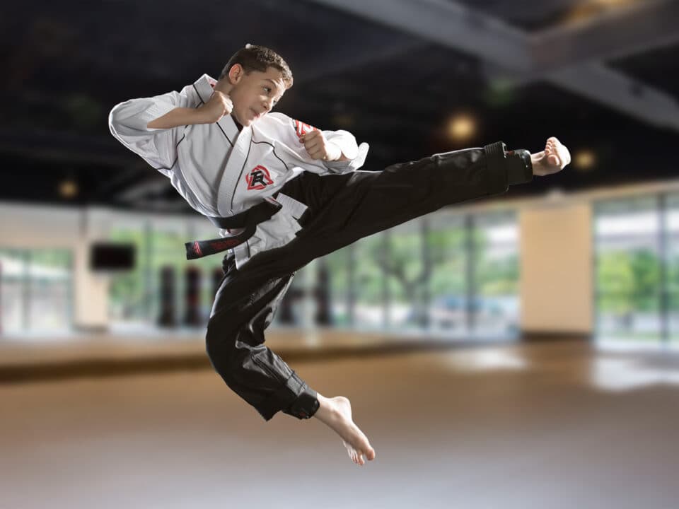Main image of Tiger-Rock Martial Arts of Frisco-Legacy Dr