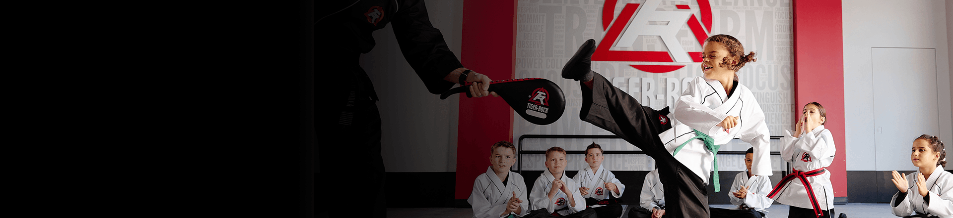 Main image of Tiger-Rock Martial Arts of Hutto