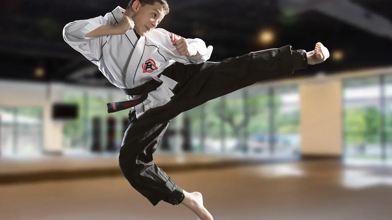 Tiger-Rock Martial Arts of Spring logo