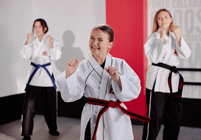 Main image of Tiger Rock Martial Arts Spring Hill