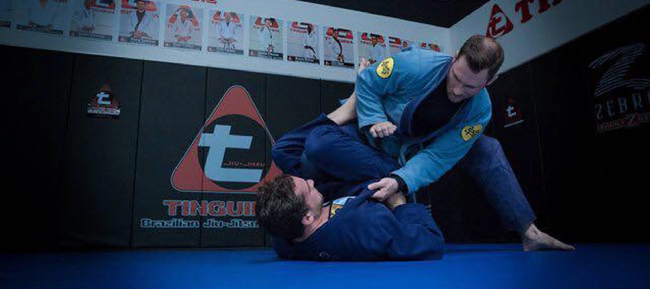 Main image of Tinguinha Brazilian JiuJitsu Academy - Yorba Linda / Anaheim Hills