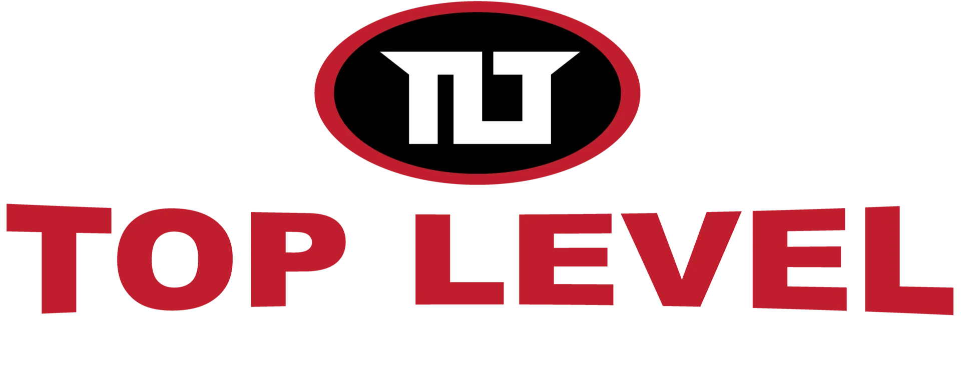 Main image of Top Level Taekwondo & Martial Arts Academy Waterloo