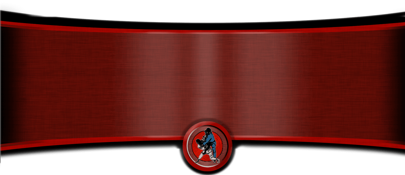 Main image of Toshi Dojo Judo Club