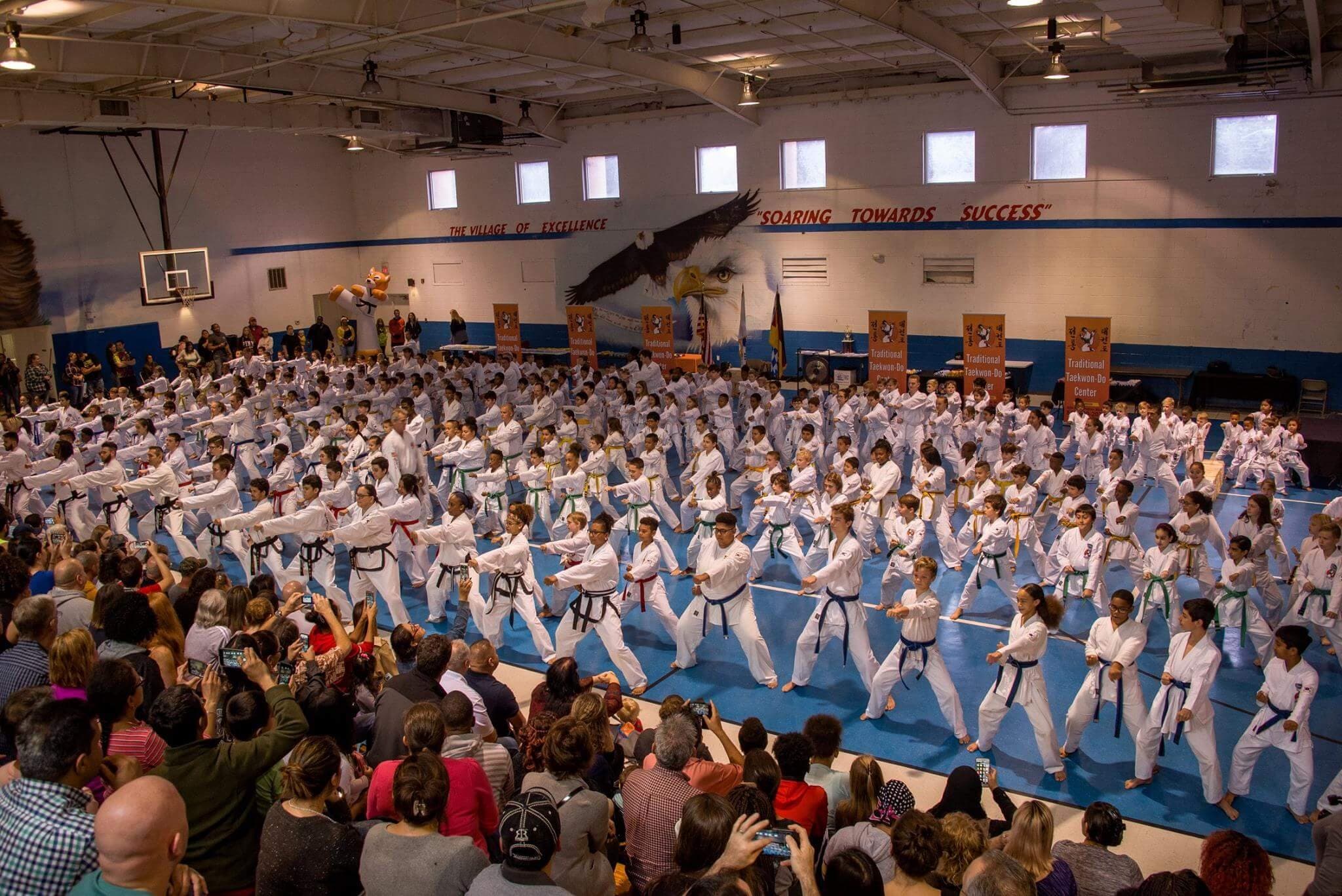 Main image of Traditional Taekwondo Center of Brandon