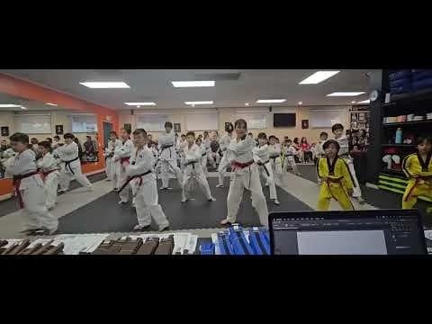 True Martial Arts Excellence (TMAX) logo