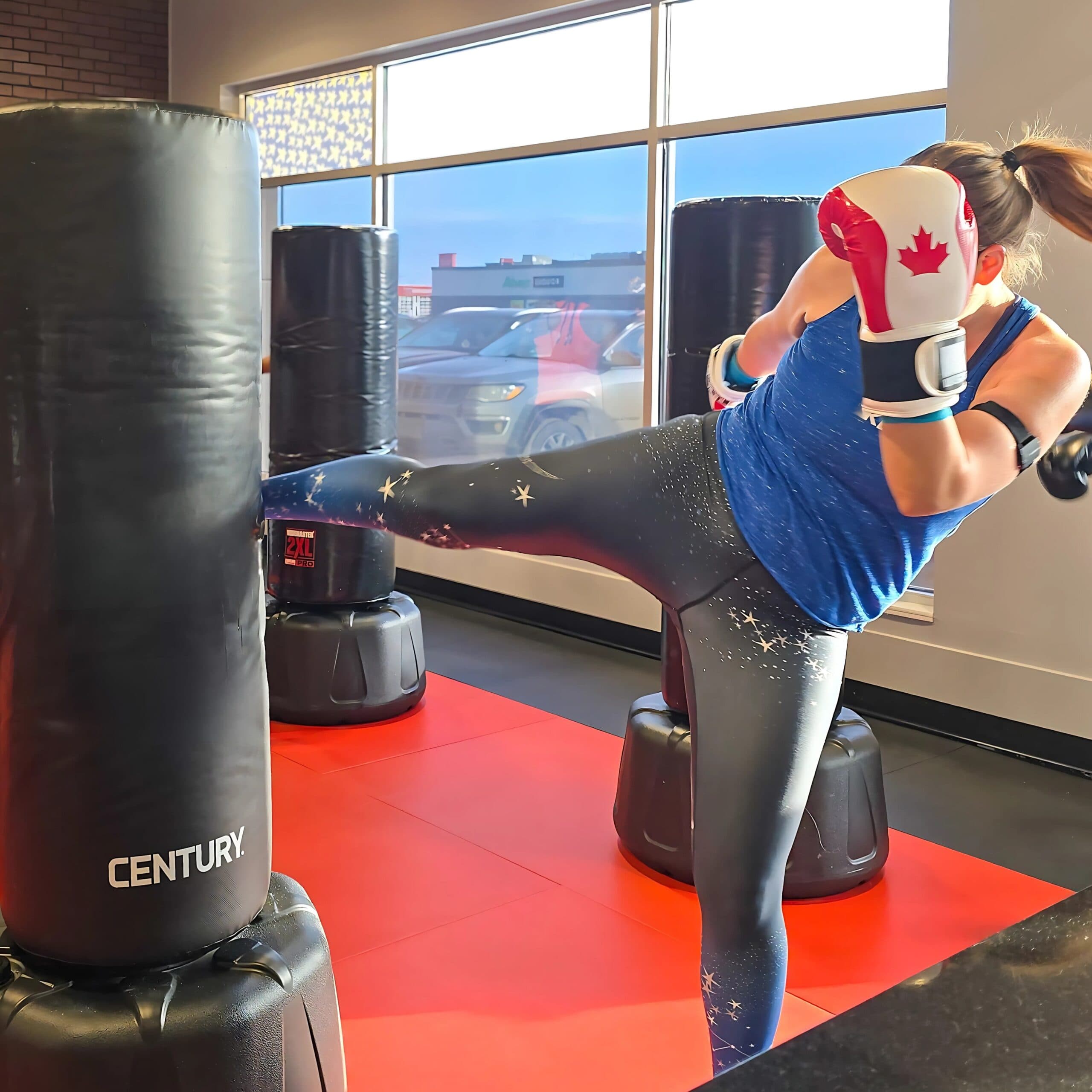 Main image of True North Kickboxing Calgary