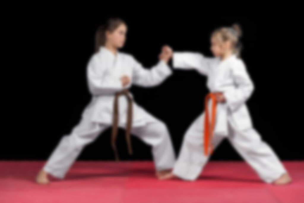 Main image of Twiggs Martial Arts Academy