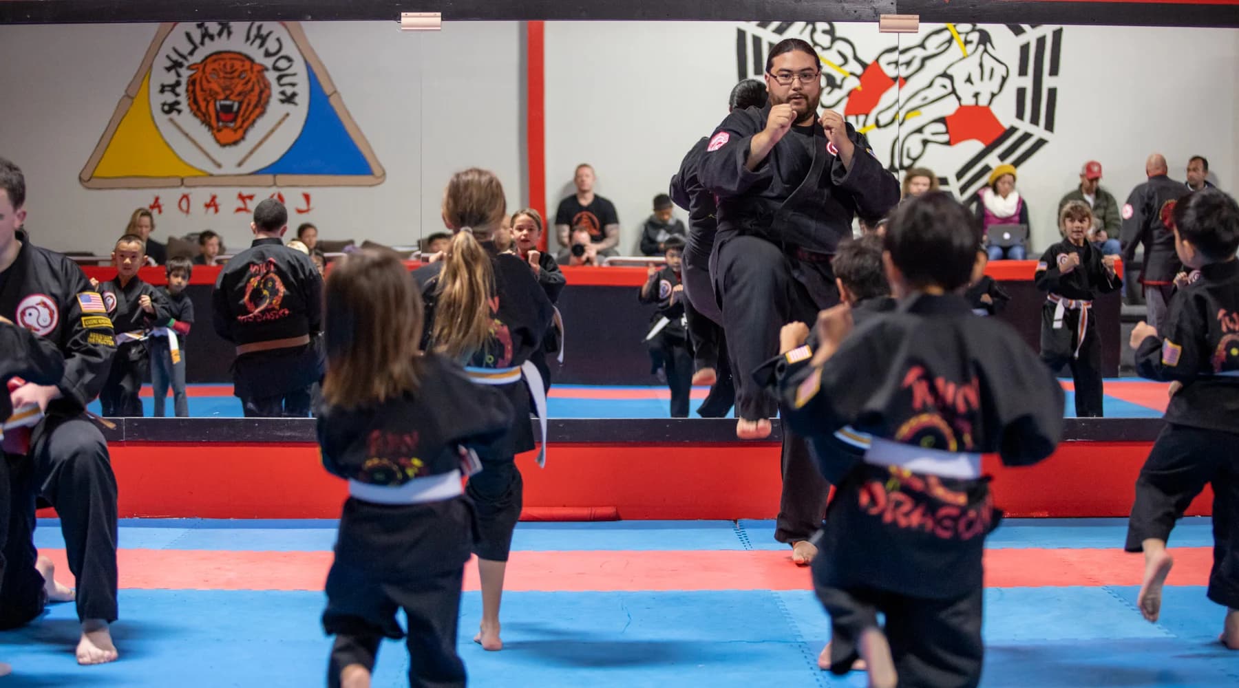 Twin Dragon Kung Fu Academy, Inc. logo