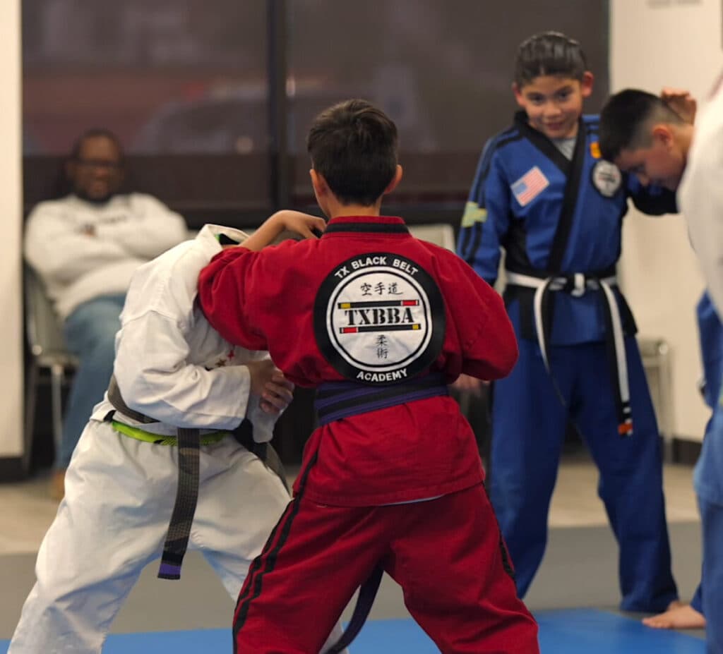 Main image of TX Black Belt Academy Flower Mound