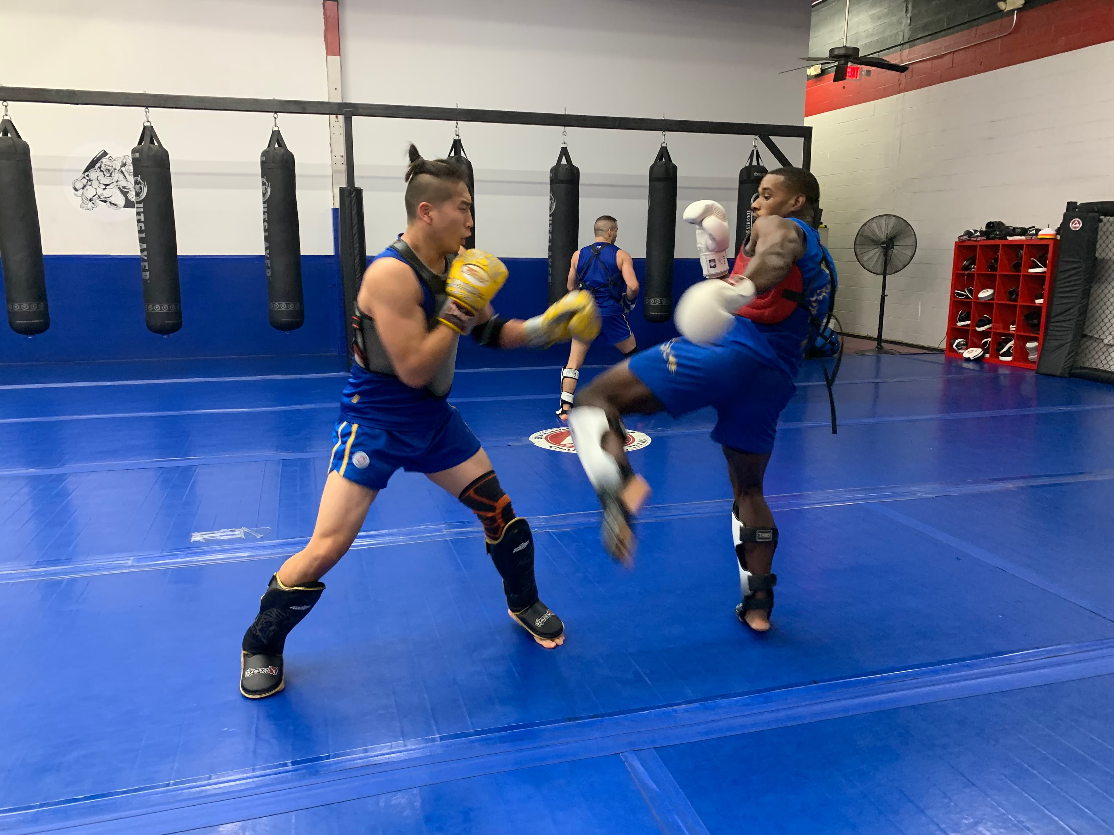 Main image of United Martial Arts Training Center