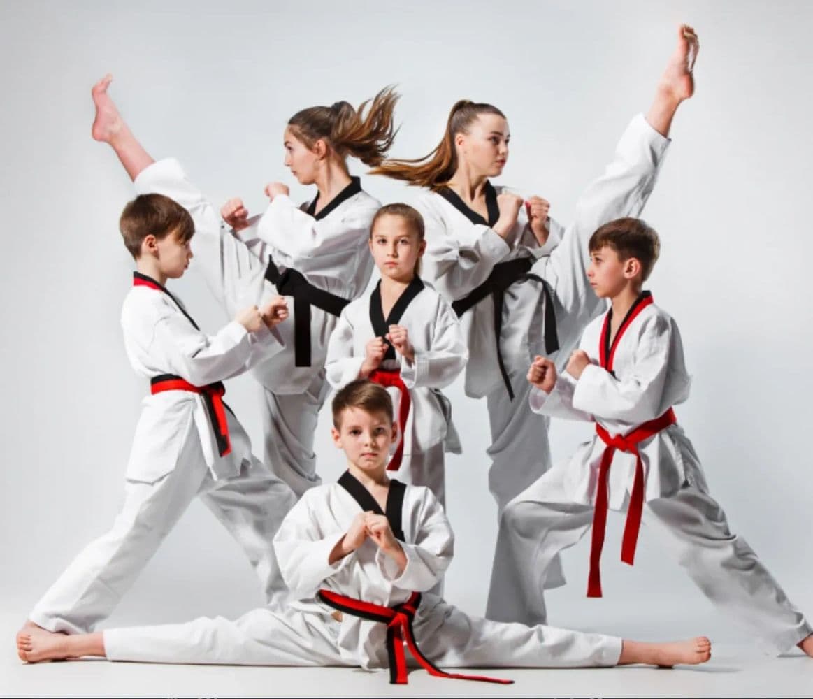 Main image of US Taekwondo Team