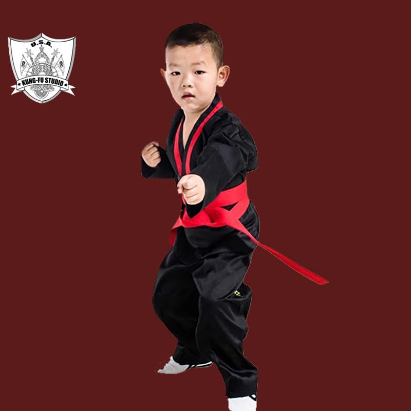 USA Kungfu Studio logo