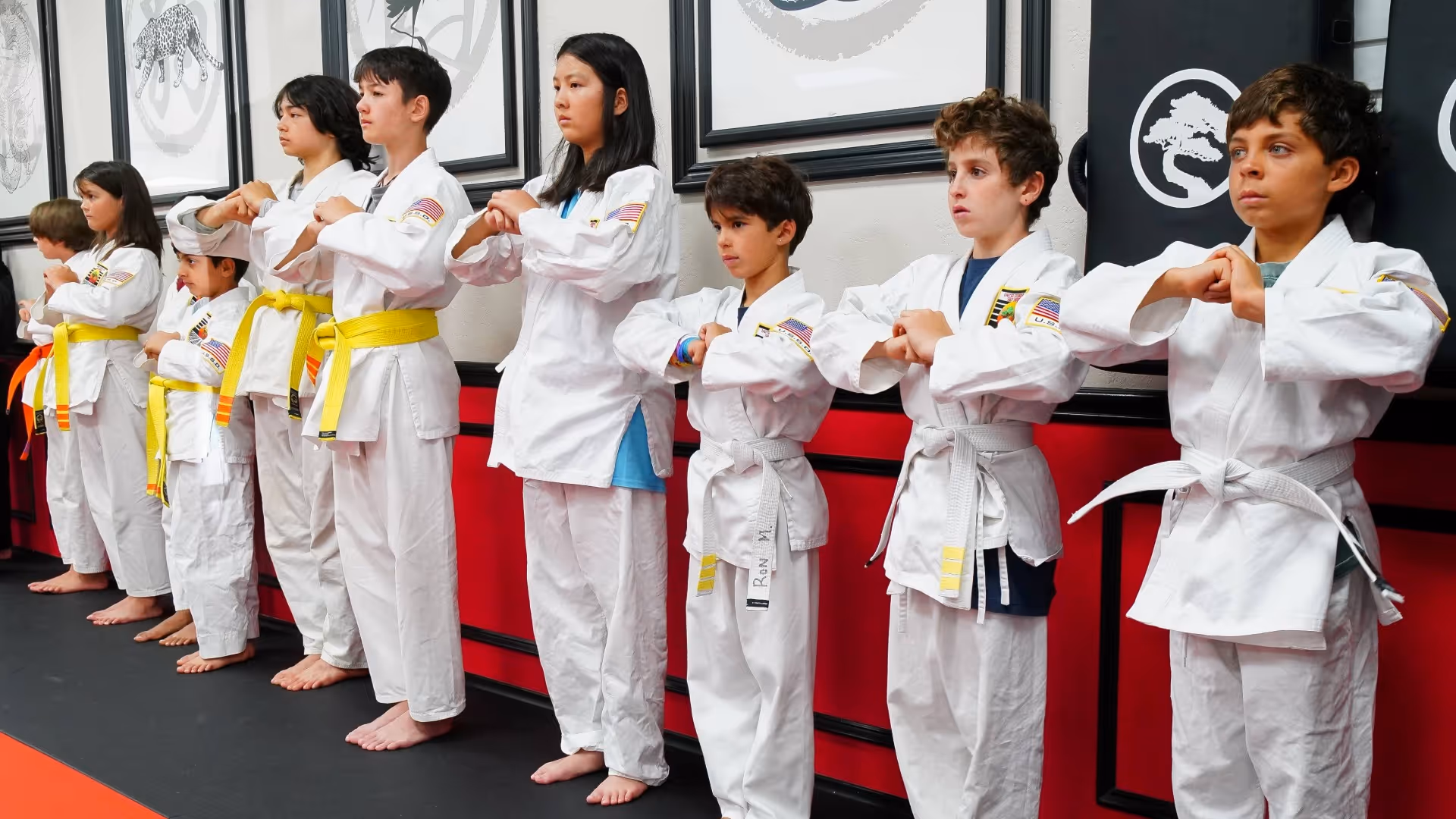 Main image of USSD Karate Irvine - Woodbridge