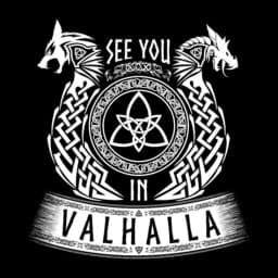 Valhalla Jiu Jitsu Academy logo