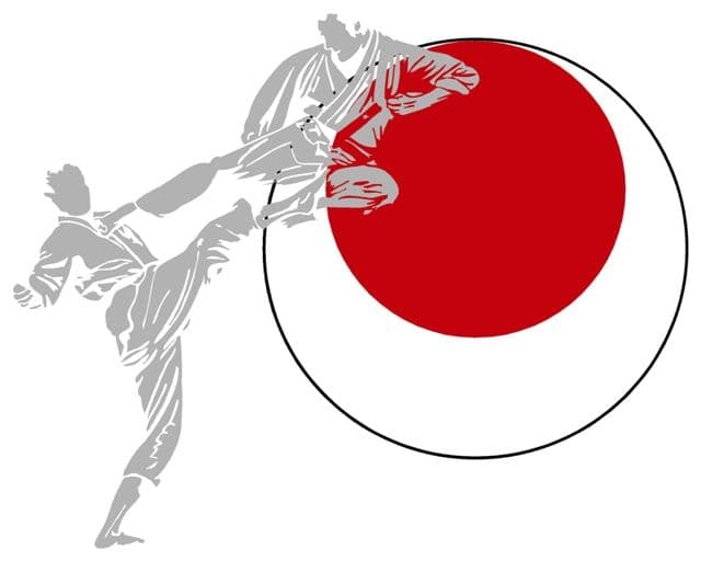 Valley Shidokan Karate Club logo