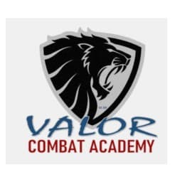 Valor Combat Academy logo