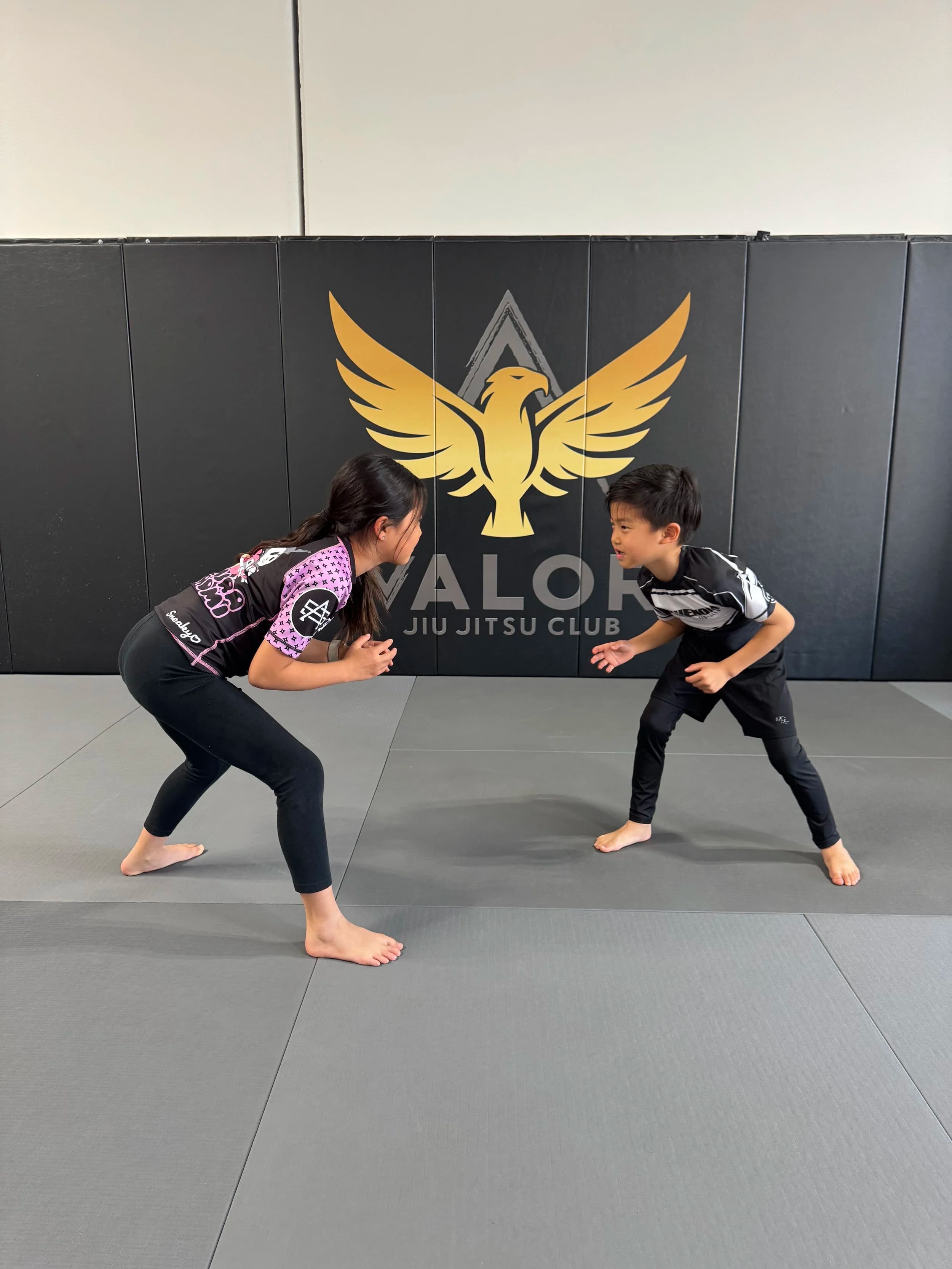 Main image of Valor Jiu Jitsu Club